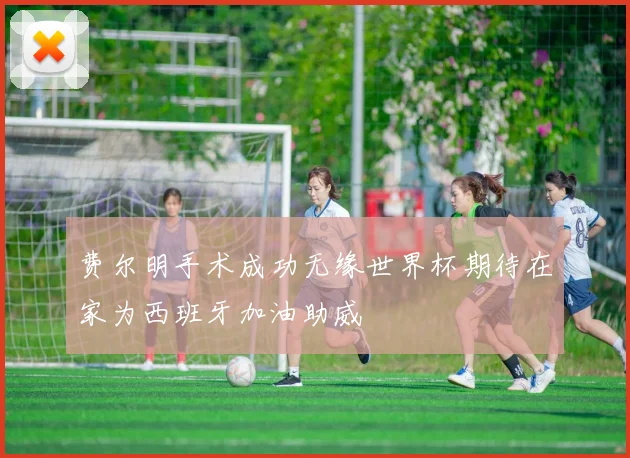 费尔明手术成功无缘世界杯期待在家为西班牙加油助威