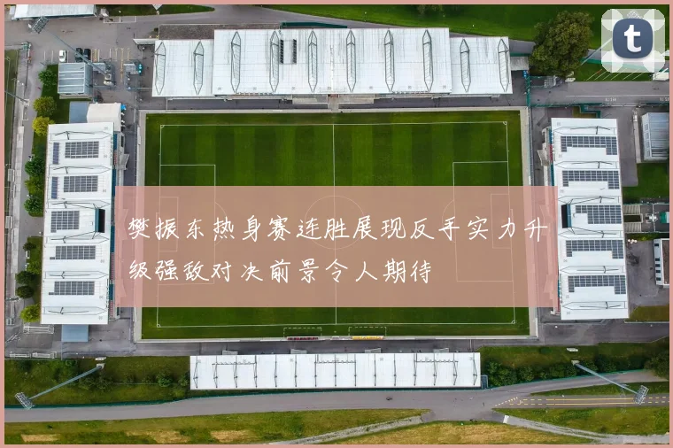 樊振东热身赛连胜展现反手实力升级强敌对决前景令人期待