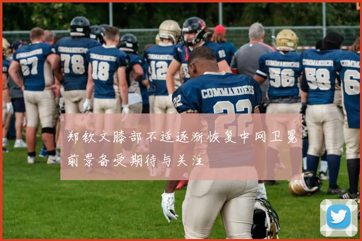 郑钦文膝部不适逐渐恢复中网卫冕前景备受期待与关注